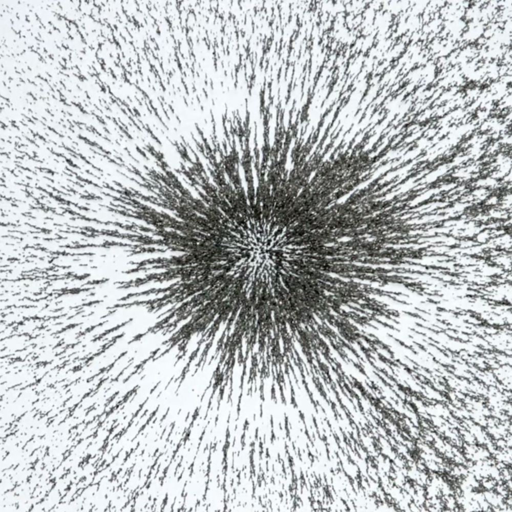 Iron filings for magnetic experiments (200 g.)
