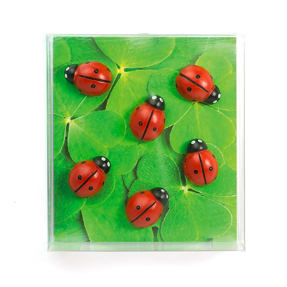 Ladybird magnets, 6 pack - fridge magnets