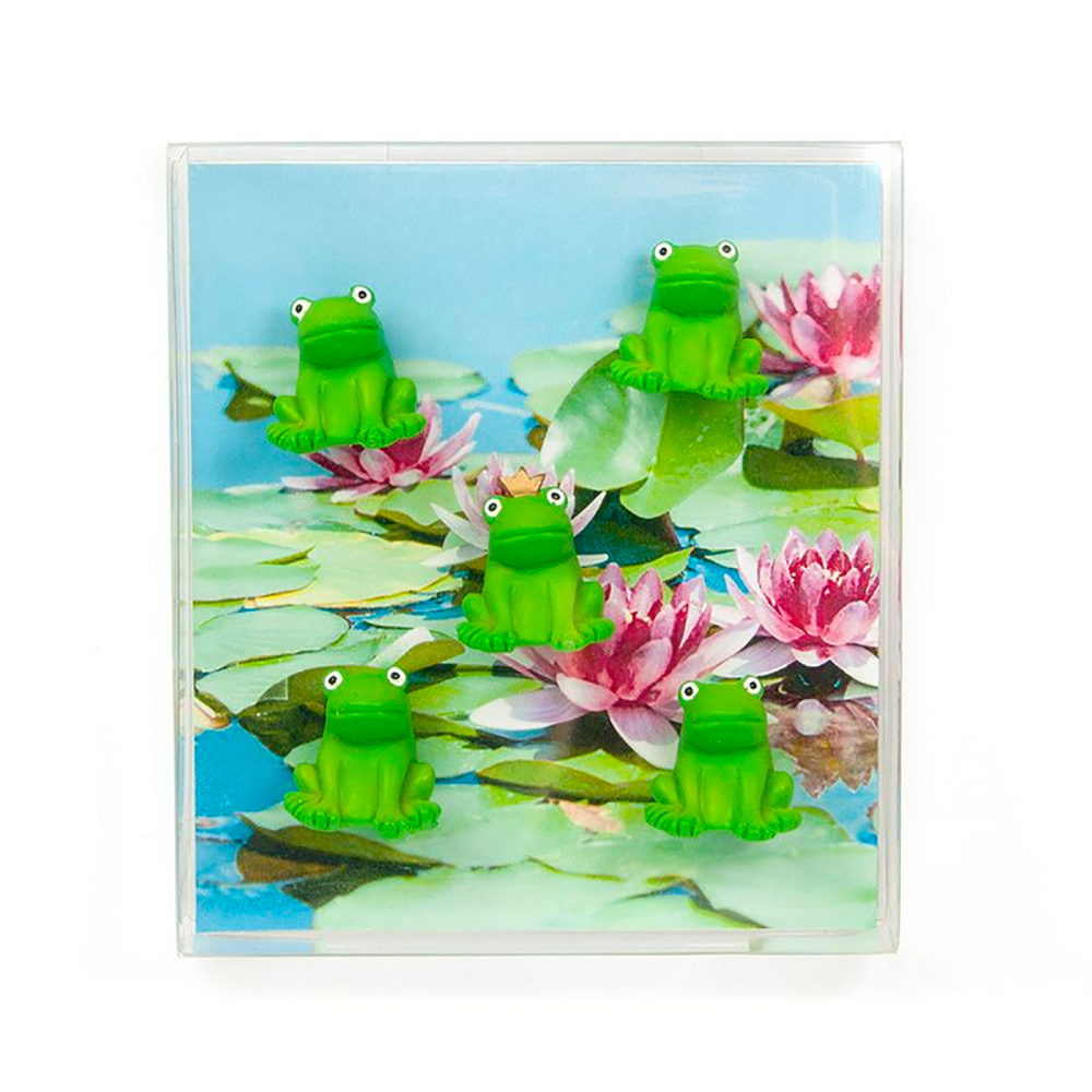 FROG magnets, 5 pack - Fridge magnets