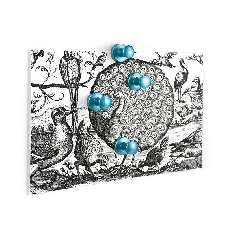 Mini-max Sky Blue 4-pack