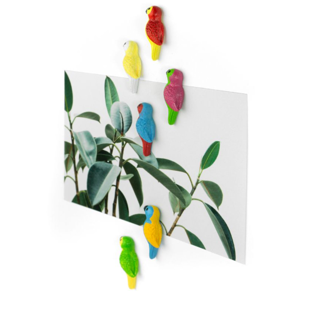 Parrot magnets, 6-pack - fridge magnets