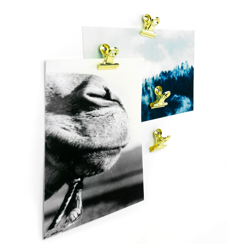 Magnetic clamps copper, Bulldog xsmall 4-pack