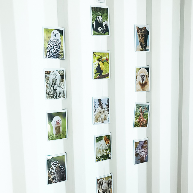 Magnetic pocket 10x15 cm, White