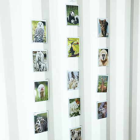 Magnetic pocket 10x15 cm, White