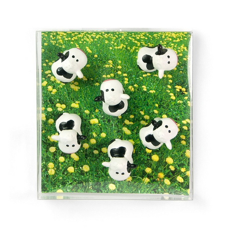 Cow magnets, 6 pack - fridge magnets