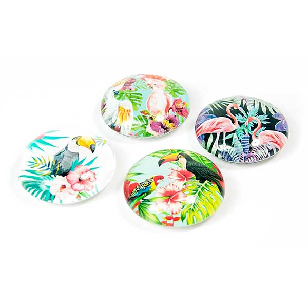Jungle Bird EYE 4-pack, fridge magnets