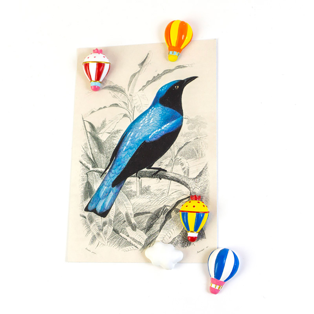 AIR BALLOON magnets, 5 pack - fridge magnets
