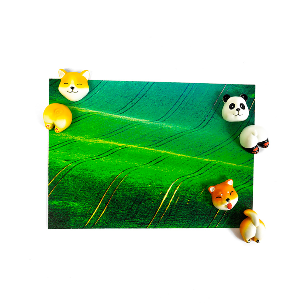 CUTE magnets 6 pack - Fridge magnets