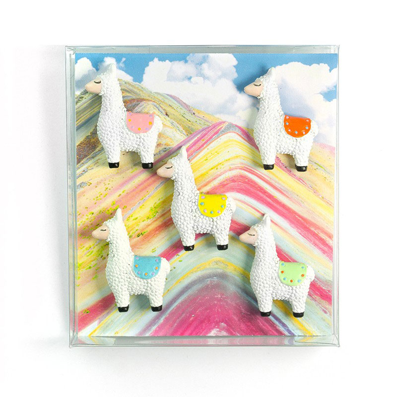 Llamas in colors 5-pack - fridge magnets