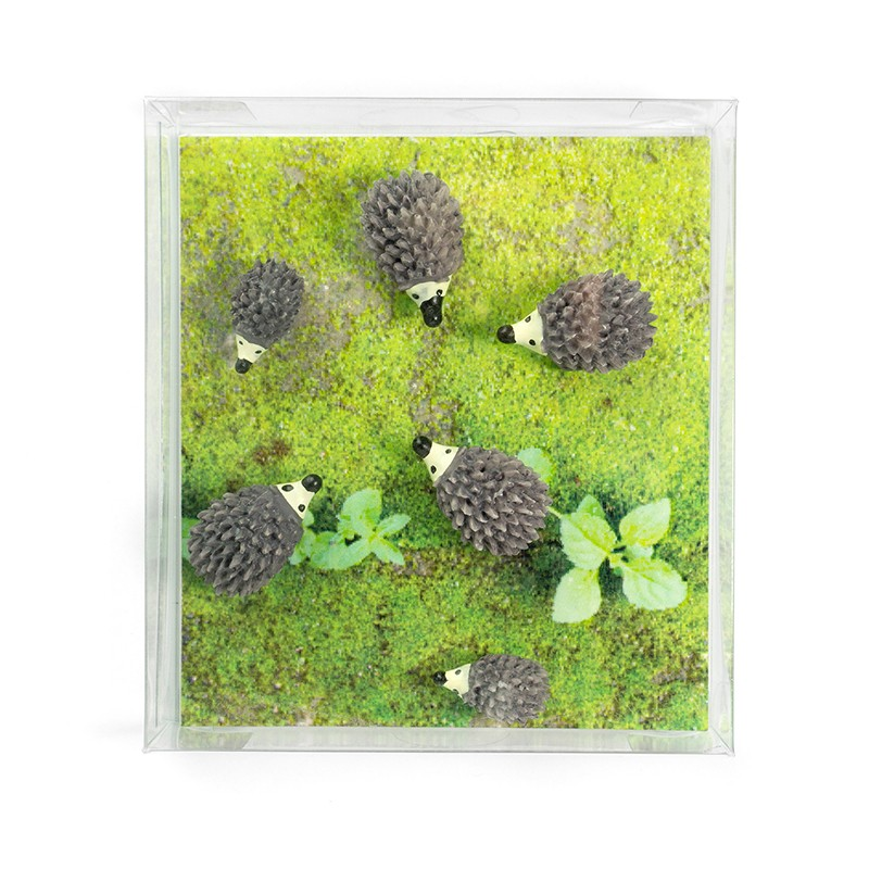 Hedgehog 6 pack, fridge magnets