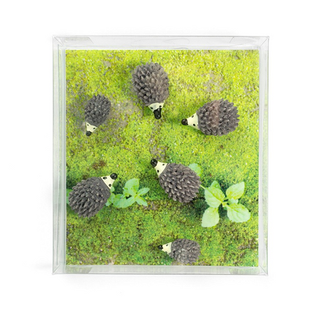 Hedgehog 6 pack, fridge magnets