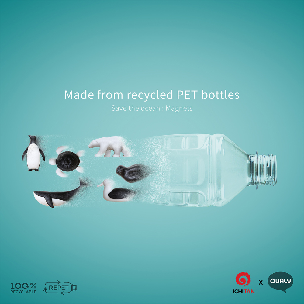 Save the ocean magnets - fridge magnets 6-pack