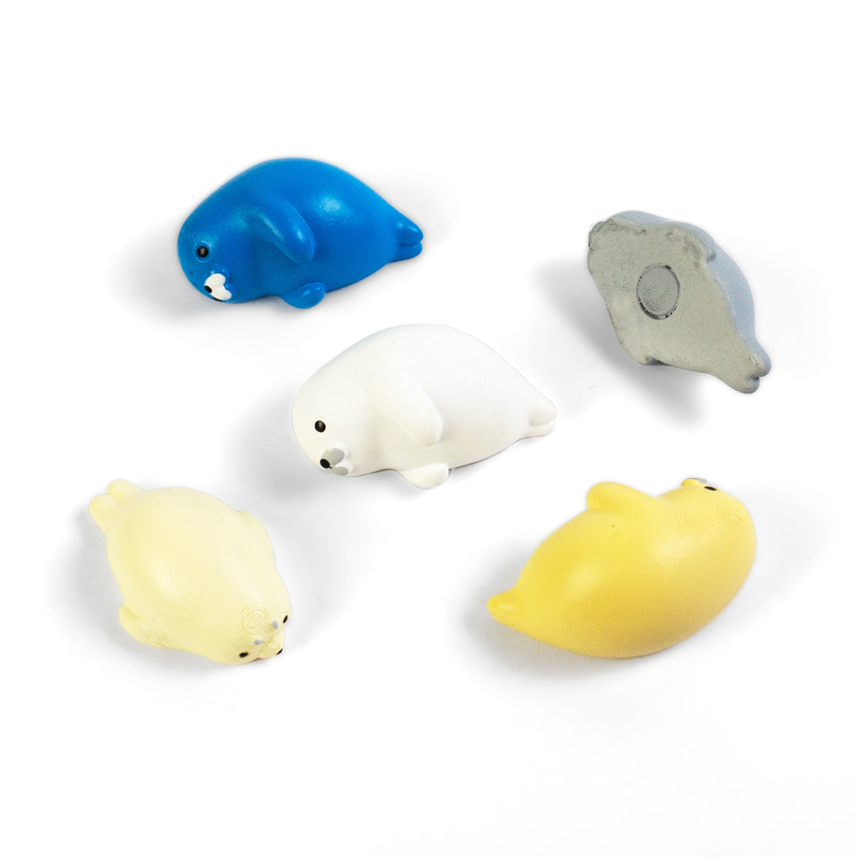 ROBBY magnets 5-pack - fridge magnets