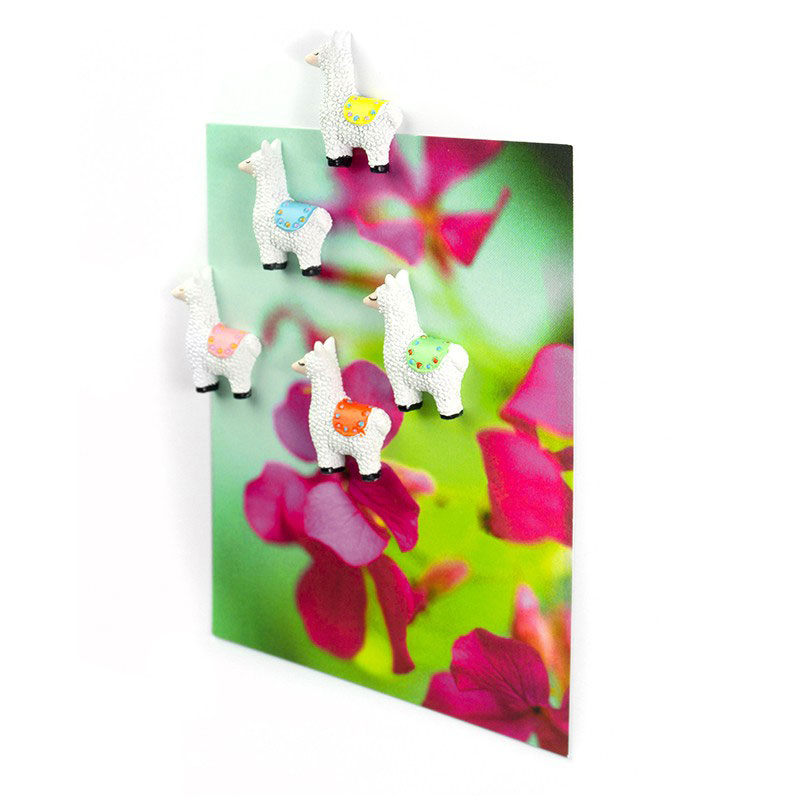Llamas in colors 5-pack - fridge magnets