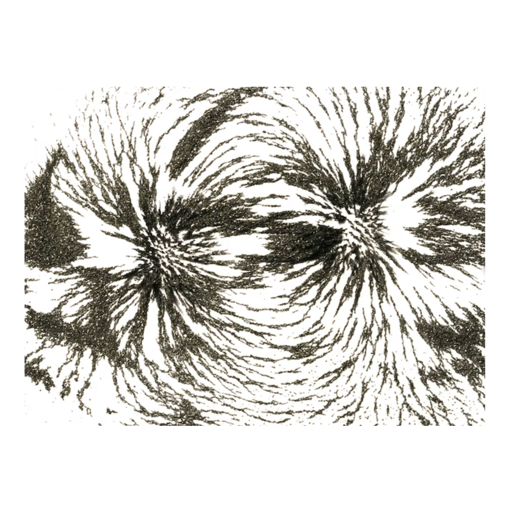 Iron filings for magnetic experiments (200 g.)