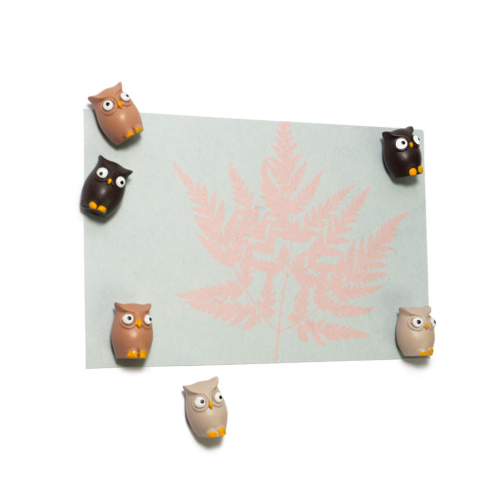 Owl magnets, 6 pack - fridge magnets
