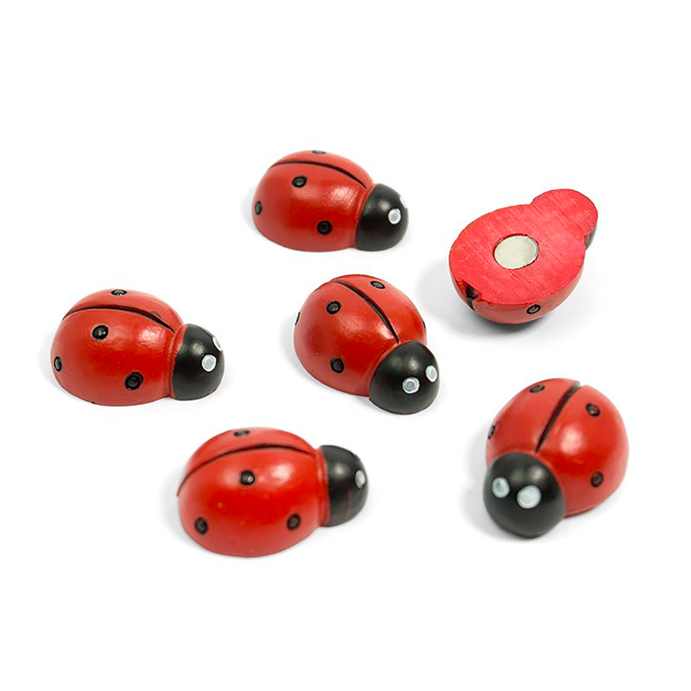 Ladybird magnets, 6 pack - fridge magnets