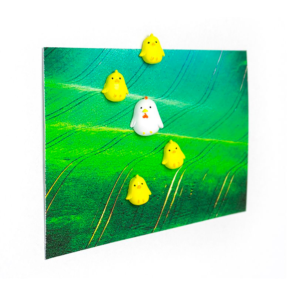 Chicken magnets, 6-pack - fridge magnets