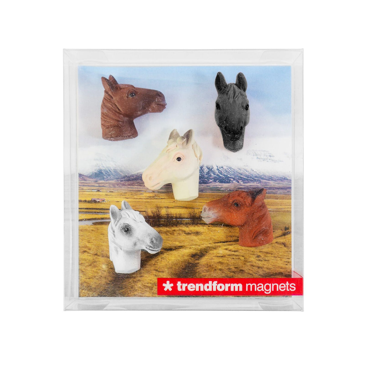 HORSE magnets 5-pack - fridge magnets