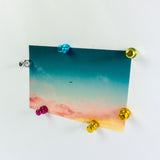 ELOX multicolor, 6 pack - fridge magnets