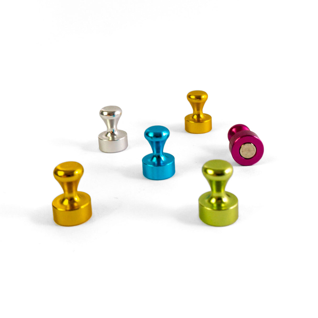 ELOX multicolor, 6 pack - fridge magnets